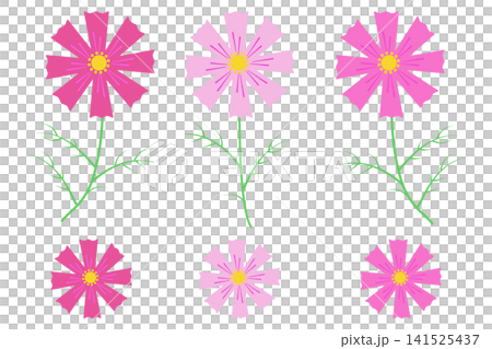 波斯菊插畫集 波斯菊插畫集 141525437