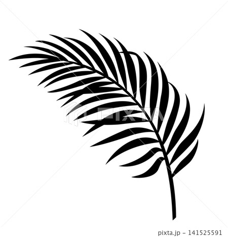 Elegant curved tropical palm frond silhouette vector Elegant curved tropical palm frond silhouette vector 141525591