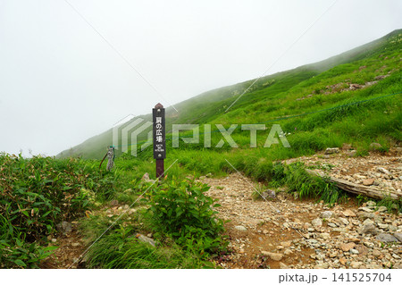 谷川岳登山 肩の広場 谷川岳登山 肩の広場 141525704