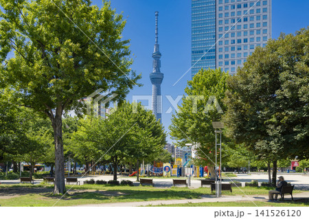 晴天の錦糸公園の遊具と遠くに望む東京スカイツリーの風景 141526120