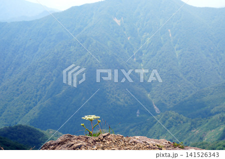 谷川岳 登山道からの風景 谷川岳 登山道からの風景 141526343