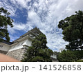 富山城の天守閣を見上げる 141526858
