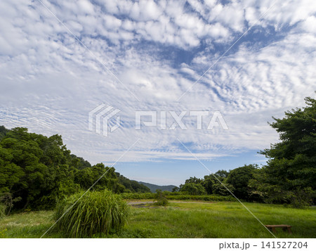 夏の鮮やかな新緑の山と空の風景 夏の鮮やかな新緑の山と空の風景 141527204