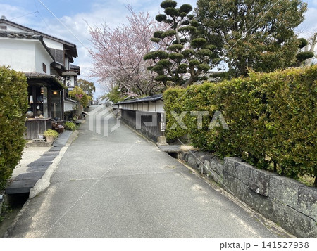 桜が咲く日本の歴史ある町並みと静かな路地の春風景 桜が咲く日本の歴史ある町並みと静かな路地の春風景 141527938
