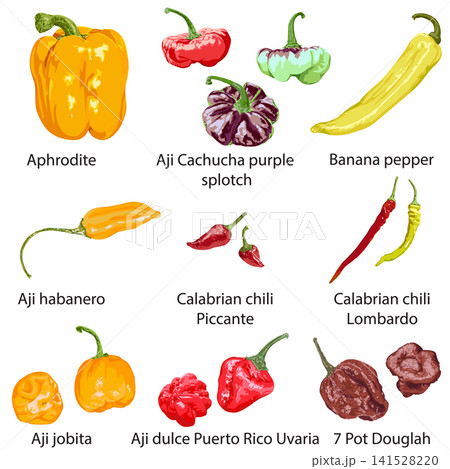 Set of different peppers on a white background Set of different peppers on a white background 141528220
