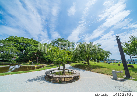 「青森県」新緑の三八城公園の風景　八戸市 141528636