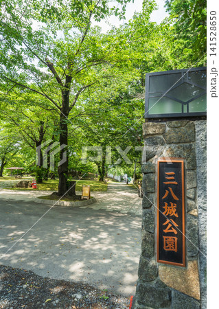 「青森県」新緑の三八城公園の風景　八戸市 141528650