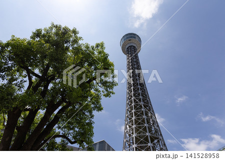 【神奈川】青空の下のマリンタワー 141528958