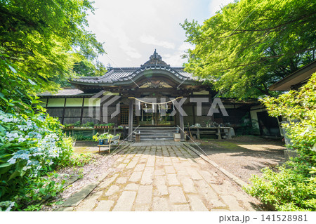 「青森県」初夏の三八城神社の風景 八戸市 「青森県」初夏の三八城神社の風景 八戸市 141528981