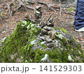 苔むした岩と積み石 141529303