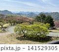 山の見える車道 141529305