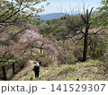 春の山の山頂で写真を撮る人 141529307