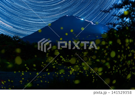 富士山麓から富士登山の光と星の周回運動の軌跡とヒメボタルの光 富士山麓から富士登山の光と星の周回運動の軌跡とヒメボタルの光 141529358