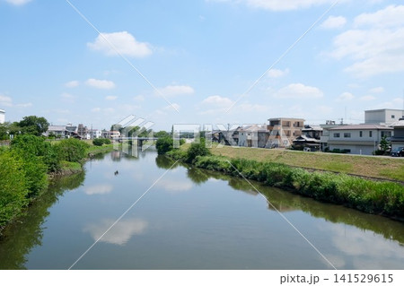 愛知県清須市_五条川1_2025年7月 愛知県清須市_五条川1_2025年7月 141529615