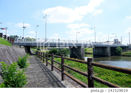 愛知県清須市_五条川5_2025年7月 愛知県清須市_五条川5_2025年7月 141529619