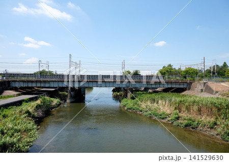 愛知県清須市_清洲城大手橋からの五条川4_2025年7月 愛知県清須市_清洲城大手橋からの五条川4_2025年7月 141529630