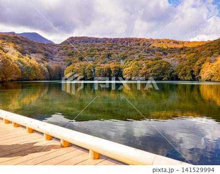 しっとりと色づく秋の蔦沼と南八甲田の山並み その3 展望デッキからの風景(10月下旬) しっとりと色づく秋の蔦沼と南八甲田の山並み その3 展望デッキからの風景(10月下旬) 141529994