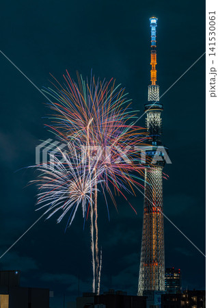 東京　下町の隅田川花火大会とスカイツリー　日本の風景 141530061