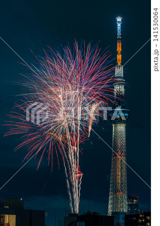 東京 下町の隅田川花火大会とスカイツリー 日本の風景 東京 下町の隅田川花火大会とスカイツリー 日本の風景 141530064