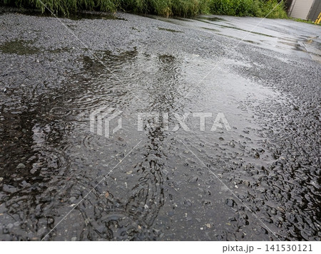 雨に濡れる路面 雨に濡れる路面 141530121