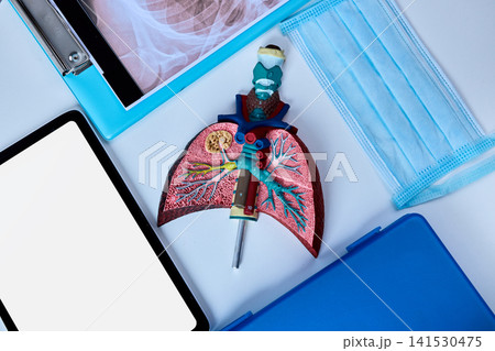Lungs model with colorful details is placed on a doctor's table along with medical tools and a face mask at the pulmonology department. Medical education Lungs model with colorful details is placed on a doctor's table along with medical tools and a face mask at the pulmonology department. Medical education 141530475