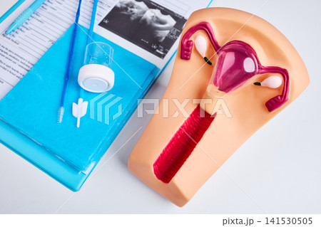 Gynecological examination with anatomical uterus model, Pap smear tools, ultrasound image and medical documents Gynecological examination with anatomical uterus model, Pap smear tools, ultrasound image and medical documents 141530505