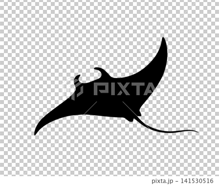 Silhouette vector of a swimming ray Silhouette vector of a swimming ray 141530516