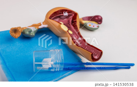 Gynecological examination with anatomical uterus model, Pap smear tools, ultrasound image and medical documents Gynecological examination with anatomical uterus model, Pap smear tools, ultrasound image and medical documents 141530538