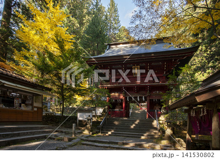 花園神社楼門紅葉 花園神社楼門紅葉 141530802