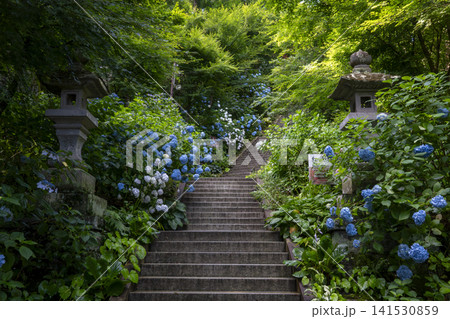 石都々古和気神社(いわつつこわけじんじゃ) 石都々古和気神社(いわつつこわけじんじゃ) 141530859