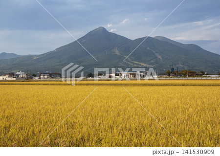 磐梯山と稲穂 磐梯山と稲穂 141530909