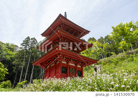 高蔵寺三重塔 141530970