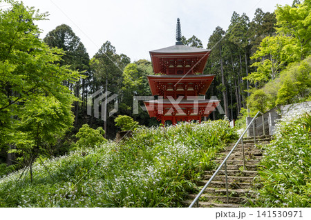 高蔵寺三重塔 141530971