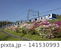 JR常磐線末続のつつじ 141530993