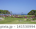 JR常磐線末続のつつじ 141530994