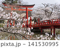 涼ヶ岡八幡神社の桜 141530995