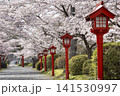 涼ヶ岡八幡神社の桜 141530997