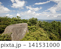 川内村のペラペラ石 141531000