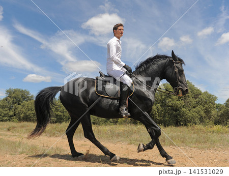 man and stallion 141531029