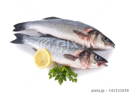 seabass 141531039
