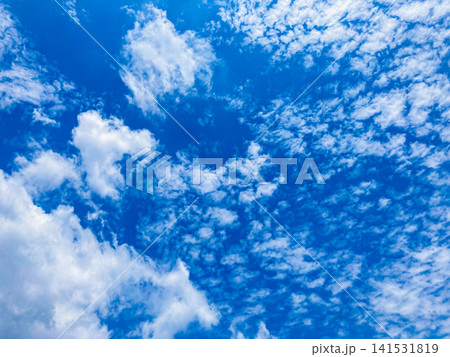勝どき・隅田川上空に広がる初夏の鮮やかな青空と白い雲 背景・壁紙素材(東京・6月) 勝どき・隅田川上空に広がる初夏の鮮やかな青空と白い雲 背景・壁紙素材(東京・6月) 141531819