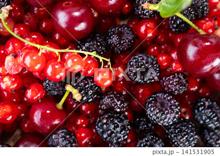 Closeup view of mixed red currants, dark blackberries, and glossy cherries packed together with fresh green stems, dewy skins, reflective highlights, rich color contrast, and natural fruit texture Closeup view of mixed red currants, dark blackberries, and glossy cherries packed together with fresh green stems, dewy skins, reflective highlights, rich color contrast, and natural fruit texture 141531905