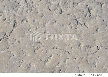 Pitted Limestone Pier Texture Background Pitted Limestone Pier Texture Background 141532092
