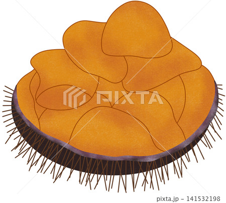 sea urchin roe 141532198
