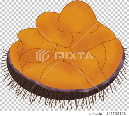 sea urchin roe 141532198
