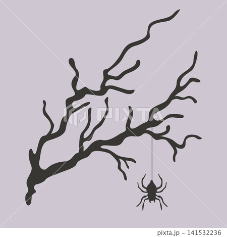 Hand-drawn Halloween black spooky dead branch silhouette composition with spider for seasonal decor 141532236