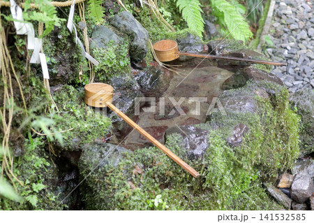苔むした神社の手水舎 苔むした神社の手水舎 141532585
