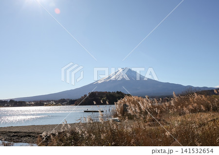 Mount Fuji View from Lake Kawaguchiko with Golden Reeds Mount Fuji View from Lake Kawaguchiko with Golden Reeds 141532654