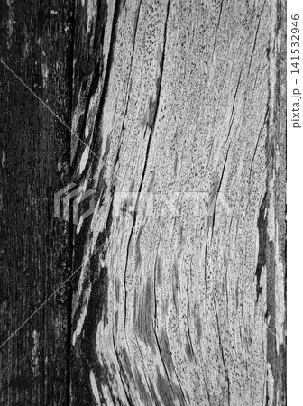 Monochrome rustic wooden board texture with natural grain and cracks. Abstract old dark wood pattern texture for background design.Black and White Weathered Wood Grain Texture Background Monochrome rustic wooden board texture with natural grain and cracks. Abstract old dark wood pattern texture for background design.Black and White Weathered Wood Grain Texture Background 141532946