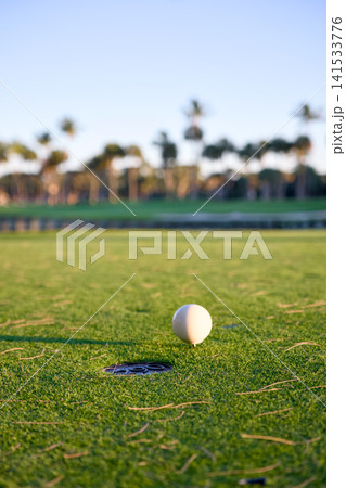 Golf Ball Beside The Hole On A Green With Palm Trees In Background Golf Ball Beside The Hole On A Green With Palm Trees In Background 141533776